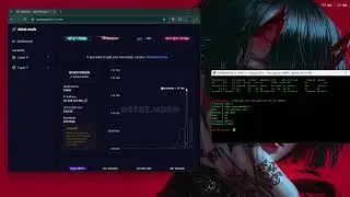 BOTNET / CRASHED DSTAT / CHEAP PRICE