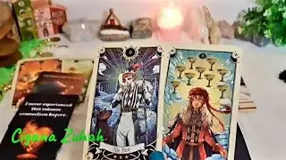 QUE ABSURDO! Olha o que essa pessoa vai fazer para se aproximar de você..