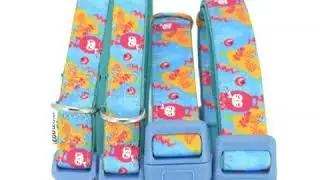 pet product reviews dogcollars