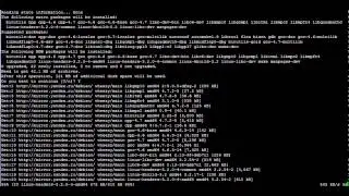Install VMware Tools on Linux