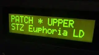 SoundSetz com JP80X0 Euphoric Lead