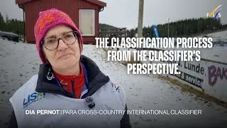 The classification process from the classifier's perspective | Dia Pernot