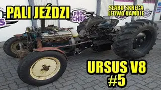 URSUS V8 #5 WKŁADAM SPRZĘGŁO I PALĘ TEGO POTWORA.
