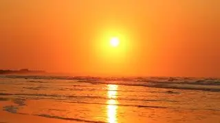 Charleston 2018 Summer Guide