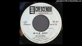The Castaways - Wild Boy - 1963 Folk Rock - Everly Brothers Cover - Jackie DeShannon Produced