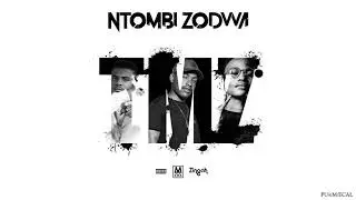 3.  TMZ  -  Ntombi Zodwa (Official Audio) seeds album