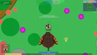mope.io OP Donkey Trolling Experiment