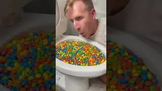 Funny Toilet and Crazy Bear #shorts