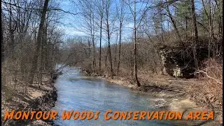 Montour Woods