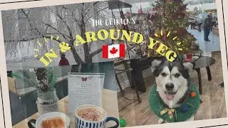 December Frosty Days| Holiday Eats| Christmas Garden