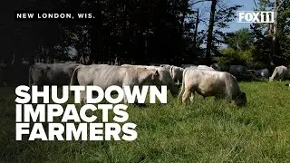 Family farm deals with challenges as USDA suspends services during government shutdown