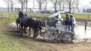 MOURIER Sebastien, FRA, CAI3 Horst 17 04 16,H4, Marathon Ob5