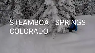 Biscuits Steamboat Springs, Colorado ( a black tree run powder day)