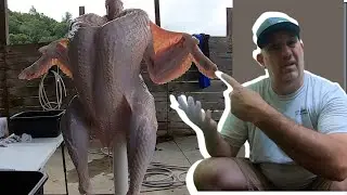 Turkey processing on the homestead, small farm