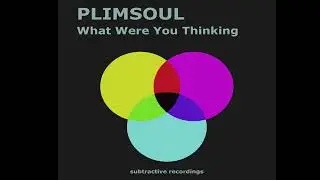 Plimsoul - What Were You Thinking - Subtractive Recordings