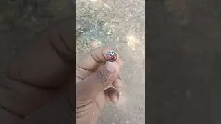 stone art/jagannath ji drawing on stone #shorts #stoneart #viral #youtubeshorts #artist #art #love