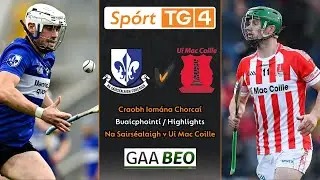Uí Mac Coille-1-23 Na Sáirséalaigh-0-17 | Buaicphointí/Highlights | Cluiche Ceannais Iomána Chorcaí