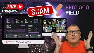 Protocol Yield EXPOSED as a Sophisticated Ponzi Scheme Masquerading as AI-Powered Investing