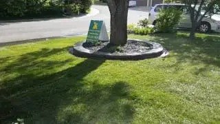 Calgary Landscape Contractor | Complete front landscaping