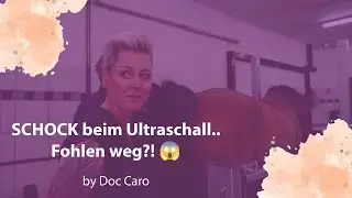 Schock beim Ultraschall 😱 Ist das Fohlen weg?