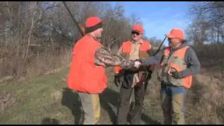 UPLAND BIRD HUNTING - with Wayne Baier
