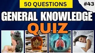 ONLY 3% CAN GET A PERFECT SCORE ||  HOW GOOD IS YOUR GENERAL KNOWLEDGE? 50 QUESTIONS