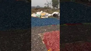 Drying #plasticrecycling #recycle #recyclewaste #businessideas #smallscaleindustry #businesstips