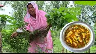 বাড়ি থেকে ডাটা তুলে শিং মাছ || দিয়ে রান্না করলাম|| Mashi Kara  kitchen