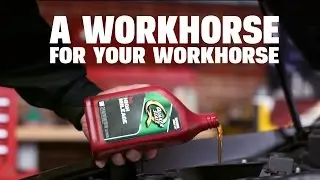 A Workhorse For Your Workhorse