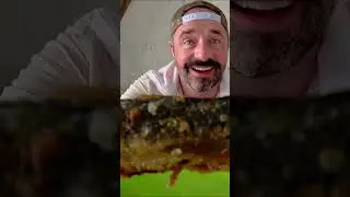 1000 БЕРЕГОВЫХ ОХРАННИКОВ ЗДЕСЬ ЕДЯТ, РЕБЯТА!