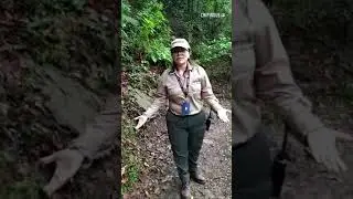D&iacute;a internacional del medio ambiente  | Chipinque