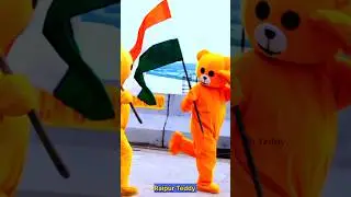 Tera Jalwa Jalwa #15august #independence #15auguststatus #teddy #raipurteddy #shorts #youtubeshorts