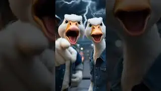 6 billi cooking videos and chor wale Video #cartoon #cartoon #cat #cute  like subscribe my channel 