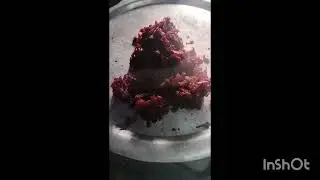 Hotel Style beetroot palya#sarojakitchen#india#food#cooking#trending#nature# music #viralvideo#fyp