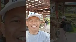 JATILUWIH TABANAN BALI признан ЮНЕСКО за систему орошения рисовых полей 