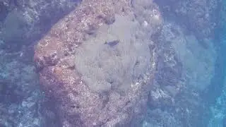 串本　灯台前　⑩