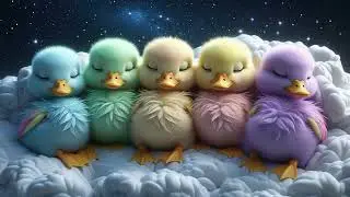 💤 Sleep in 3 Min! - 5 Little Ducks Lullaby | ¡Duerme en 3 Min! - Cuna de 5 Patitos 🦆