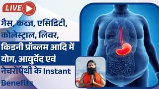 instant Yog & Ayurved. गैस, कब्ज, एसिडिटी, वात,पित्त, कफ त्रिदोष, मोटापा, बीपी, शुगर,
