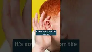 Where is the Inner Ear? | Dr. K. R. Meghanadh| Medyblog