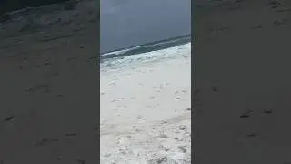 Red flag on the beach by the waves. #ocean #sea