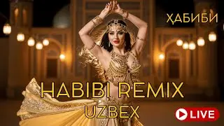 Habibi Remix Uzbekistan 2026 &ndash; Night City Lights Drive Experience