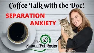 Separation Anxiety and Natural Remedies for Your Dogs and Cats with Dr. Katie The Natural Pet Doctor