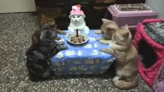 ТОП 100 эпических видео 2015 года