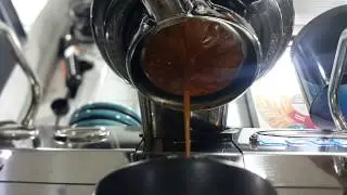 Experiment: Portafilter Basket on Extraction Yield