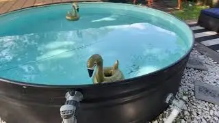 Pond Shield Update