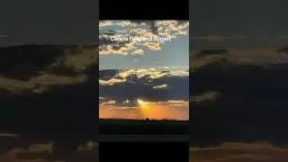 Alberta , Canada Canola Fields watching the sunset #sunset #albertacanada #canadianprovince #travel