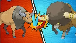 Tauros vs Bouffalant 😰😰💪