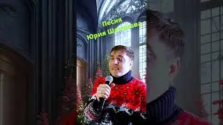 #шатунов#shorts#short#shortsfeed,Андрей Анисимов /песня Юрия Шатунова2