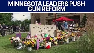 Minnesota church shooting: Leaders pushing gun reform | FOX 7 Austin