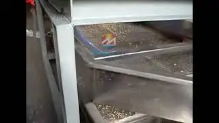 Industrial Peanut Chopper Machine vs Nuts 😱 MUST-SEE Stainless Steel Magic!#almond#peanut#chopper